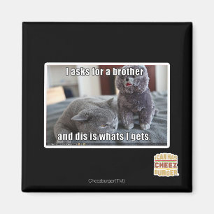 Ich fragte für einen Bruder Magnet