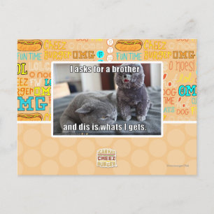 Ich fragte für einen Bruder Postkarte