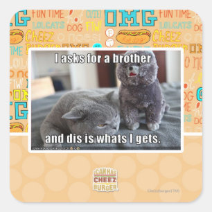 Ich fragte für einen Bruder Quadratischer Aufkleber