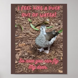 Ich fühle mich wie eine Ente aus Wasser inspiriere Poster