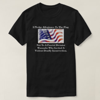 Ich gelobe Treue zur Flagge nicht............... T-Shirt