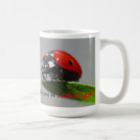 Ich glaube an Marienkäfer-Tasse
