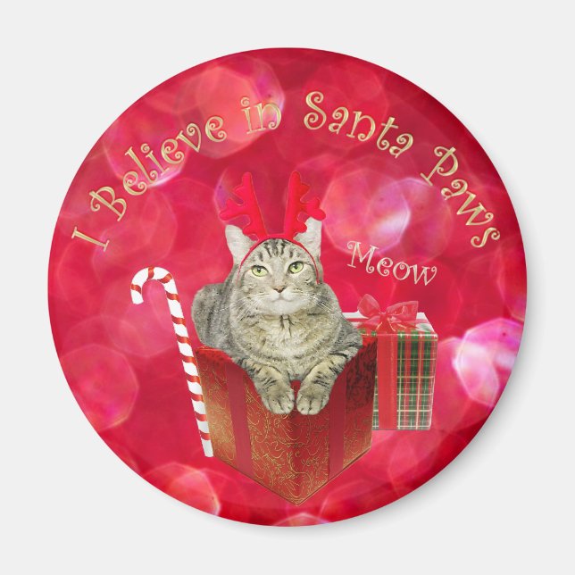 Ich glaube an Santa Paws Magnet (Vorne)