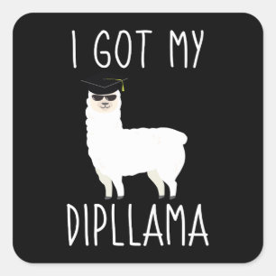 Ich Got meinen Dipllama Quadratischer Aufkleber