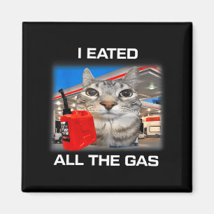 Ich habe das ganze Gas gegessen Lustiges Albernes  Magnet