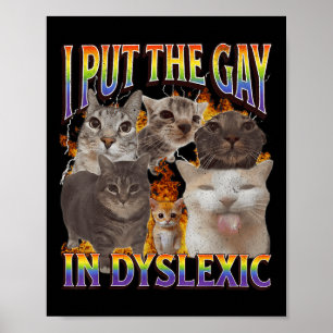 Ich habe das Gay in Dyslexie lustiges Katzen-Meme  Poster