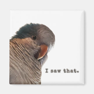 Ich habe das gesehen magnet