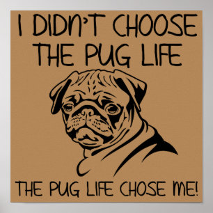 Ich habe das Mops Life Funny Poster-Zeichen nicht  Poster