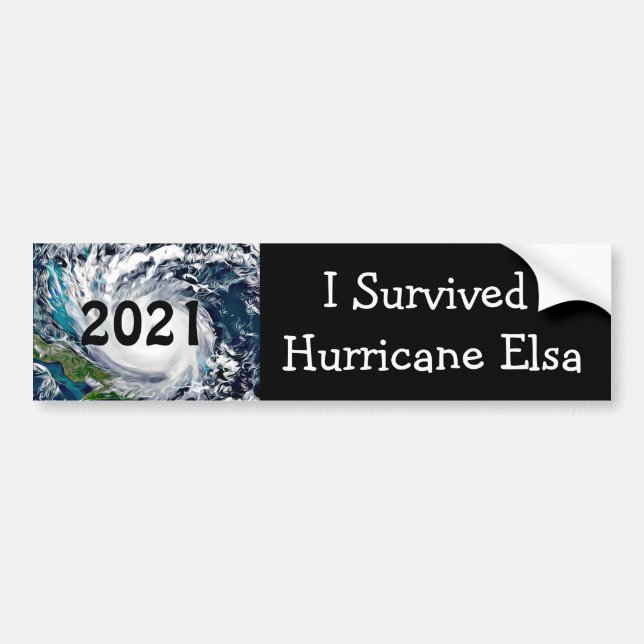 Ich habe den Hurrikan Elsa 2021 überlebt Autoaufkleber (Vorne)