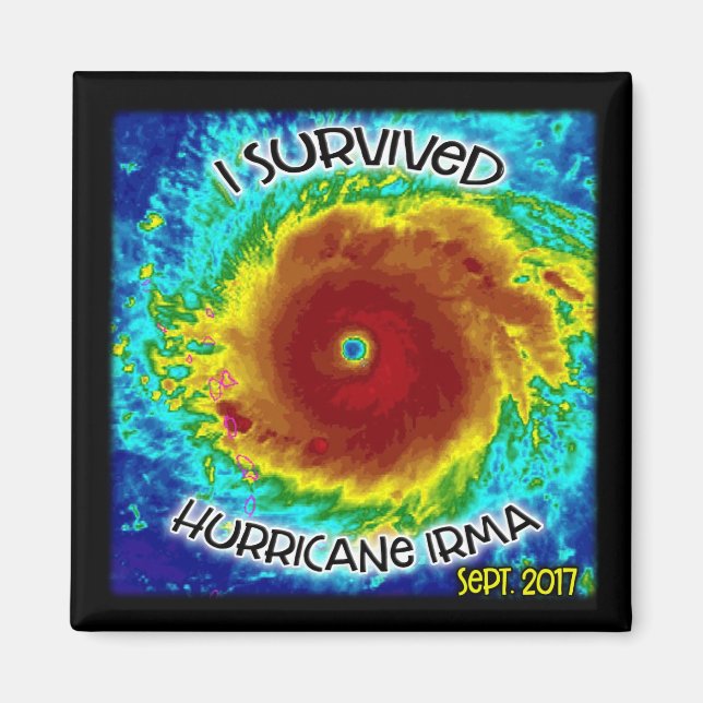 Ich habe den Hurrikan Irma Magnet überlebt (Vorne)