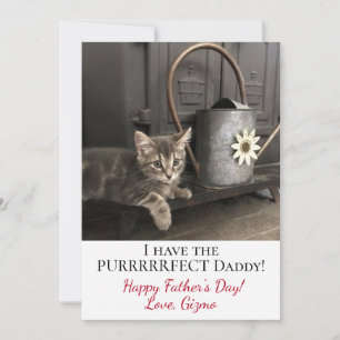 Ich habe den Purrrfect-Vater! Foto vom Kitty zum V Karte