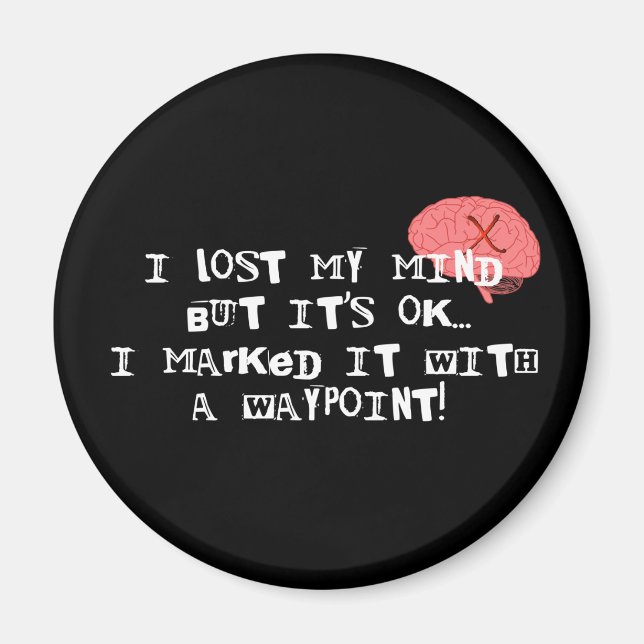 Ich habe den Verstand verloren! Magnet (Vorne)