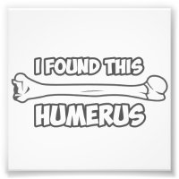 Ich habe diesen Humerus gefunden