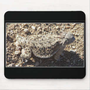 Ich habe dieses als Postkarte und Aufgabe als Mousepad