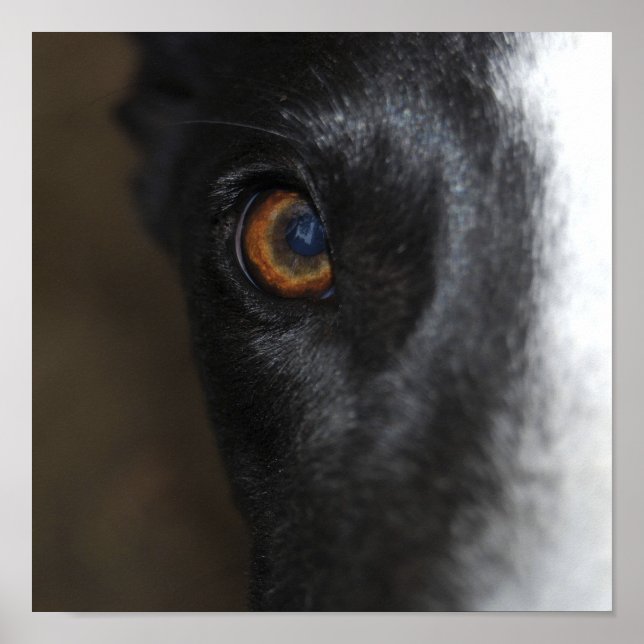 Ich habe dir das Auge got - Poster (Vorne)