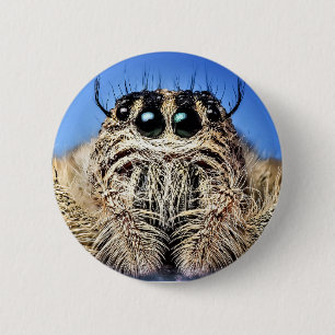 Ich habe dir die Augen got! Button