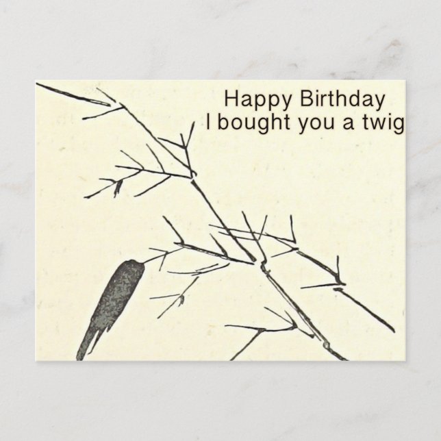 Ich habe dir eine Twig Funny Birthday Card gekauft Postkarte (Vorderseite)