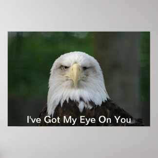 Ich habe dir mein Auge Got, ein Mit Augen Adlerpos Poster