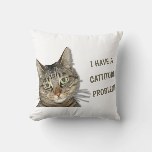 Ich habe ein Problem mit der Höhe des Fluges! nied Kissen (Vorderseite)