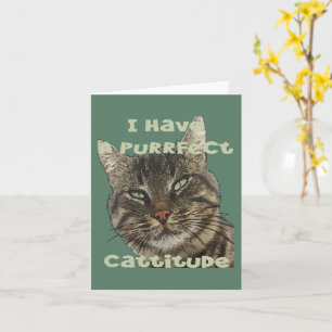 Ich habe eine purrfekte Katzeneinstellung Lustiger Karte