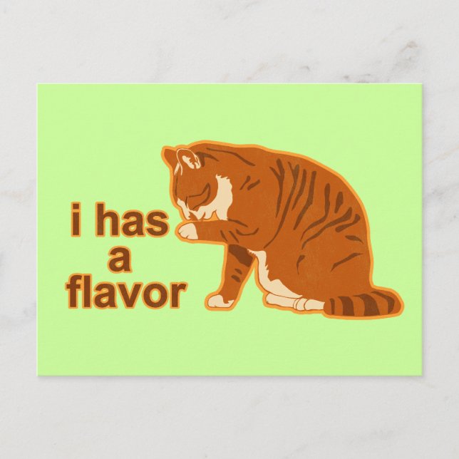 Ich habe einen Geschmack, LOL CAT Postkarte (Vorderseite)