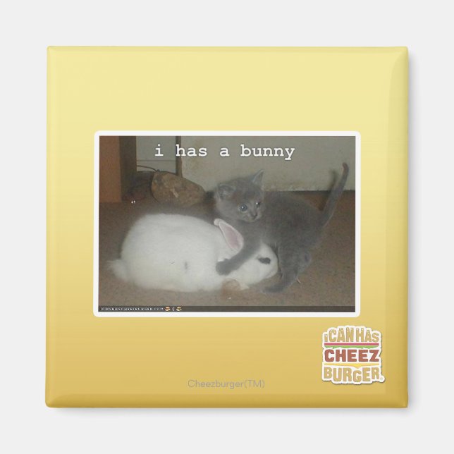 Ich habe einen Hase Magnet (Vorne)