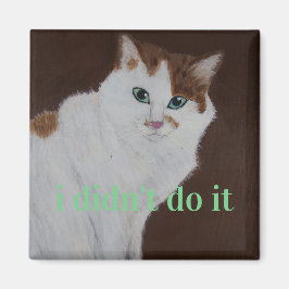 Ich habe es nicht getan magnet