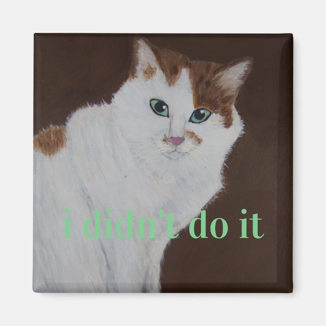 Ich habe es nicht getan magnet (Vorne)