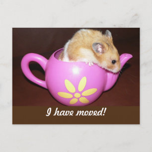 Ich habe Hamster befördert Ankündigungspostkarte