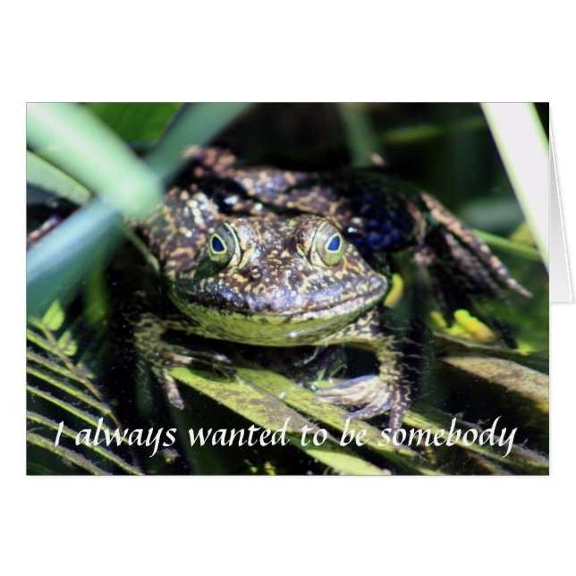 Ich habe immer Gewollt, jemand zu sein (Vorderseite (Horizontal))