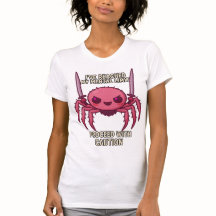 Ich habe mein geistiges Limit Spider Kaution Funny