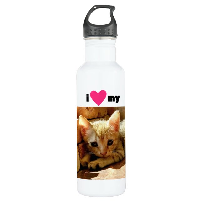 Ich habe meine Katze gehört Edelstahlflasche (Vorderseite)