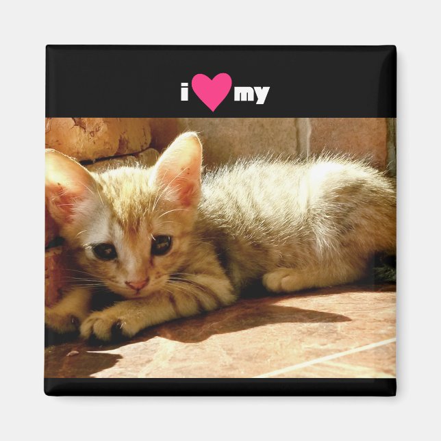 Ich habe meine Katze gehört Magnet (Vorne)