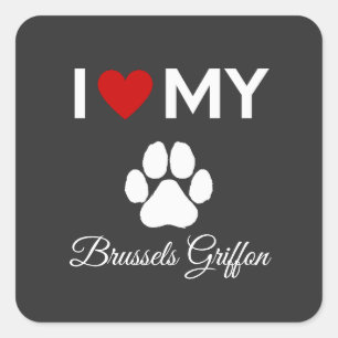 Ich habe meinen Bruxelles Griffon-Hundstext Liebe Quadratischer Aufkleber