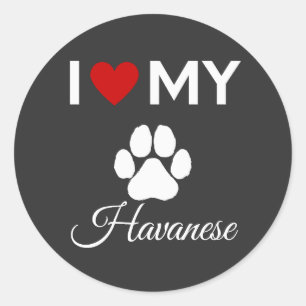 Ich habe meinen Hund in Havanna-Liebe-Sondertext Runder Aufkleber