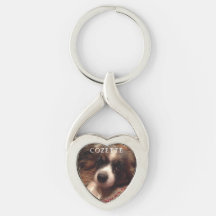 Ich habe meinen Hund so sehr Liebe