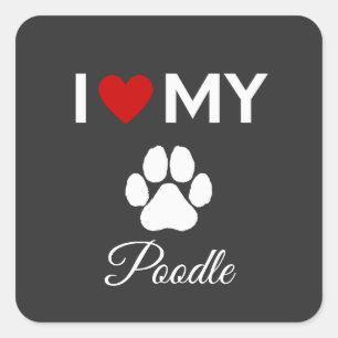 Ich habe meinen Poodle-Hund-Sondertext Liebe Quadratischer Aufkleber