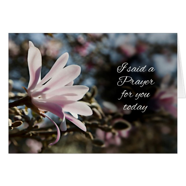 Ich habe mit einer magnolischen Blume ein Gebet fü (Vorderseite (Horizontal))