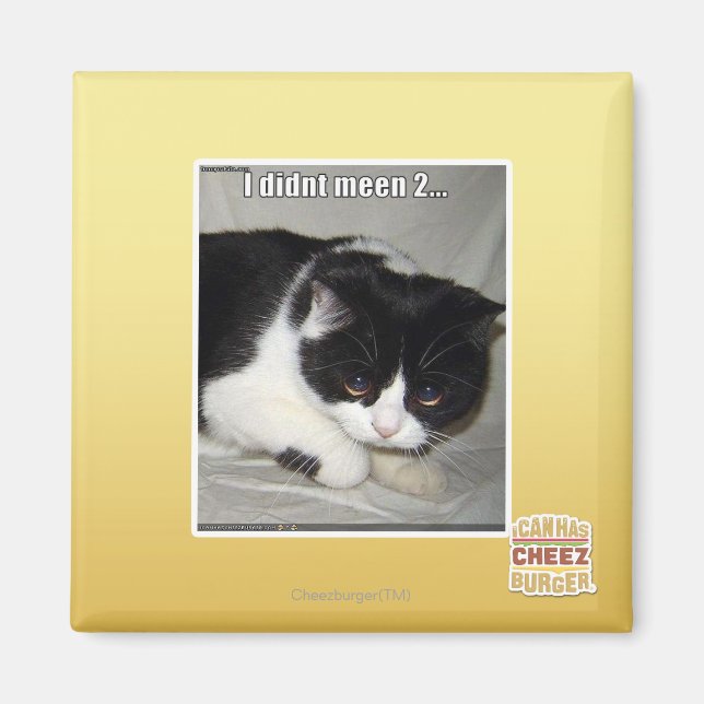 Ich habe nicht 2 bedeutet magnet (Vorne)