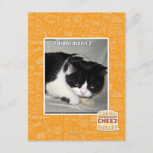 Ich habe nicht 2 bedeutet postkarte