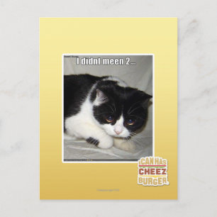 Ich habe nicht 2 bedeutet postkarte