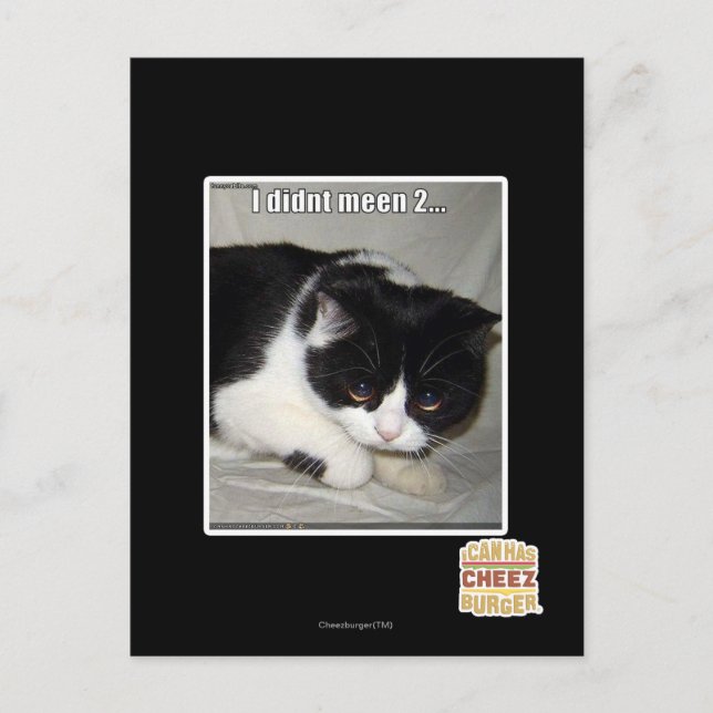 Ich habe nicht 2 bedeutet postkarte (Vorderseite)