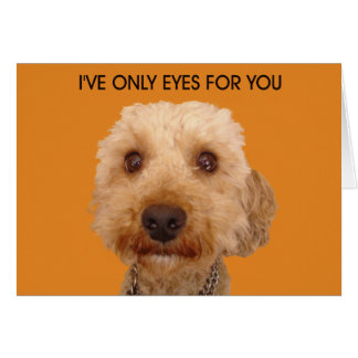 Ich habe nur Augen für dich