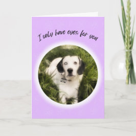 Ich habe nur Augen für Sie niedlichen Hund Valenti Karte