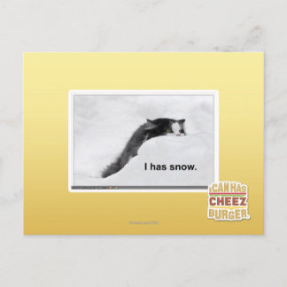 Ich habe Schnee. Postkarte