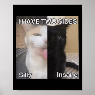 Ich habe zwei Seiten Alberne verrückte Katze Funny Poster
