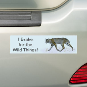 Ich halte an den wilden Dingen fest! Bobcat Autoaufkleber