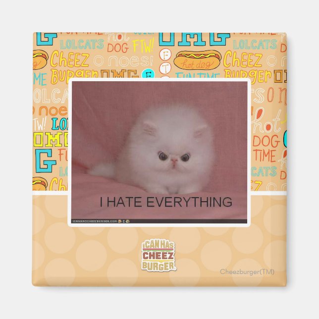 Ich hasse alles magnet (Vorne)