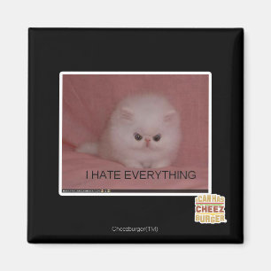 Ich hasse alles magnet