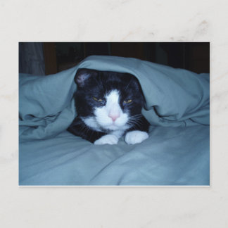 Ich hasse montags! postkarte